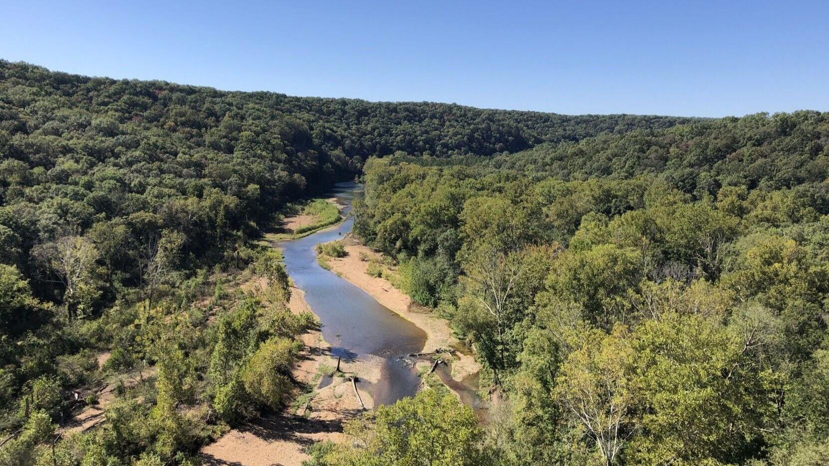 Climate change poses challenges to Eleven Point’s Ozark hellbenders and trout, feds say